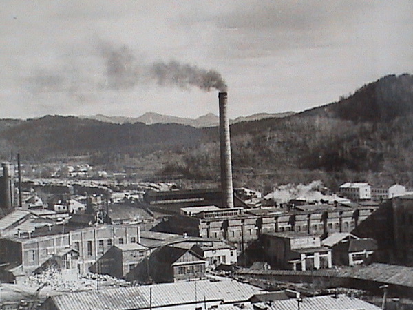 Бумажная фабрика Чехова в 1970-е гг.