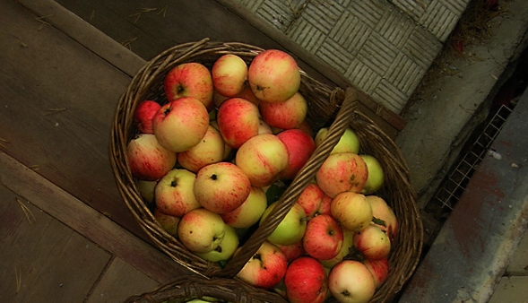 Яблочный Спас. Народные приметы на 19 августа