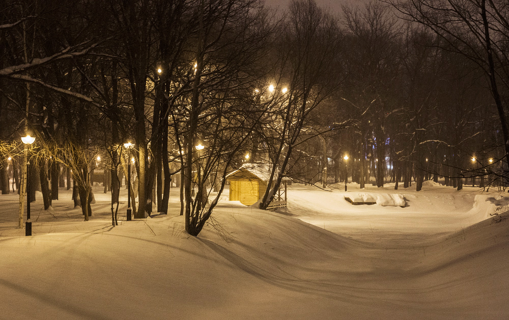 Вечерняя прогулка в парке Гагарина